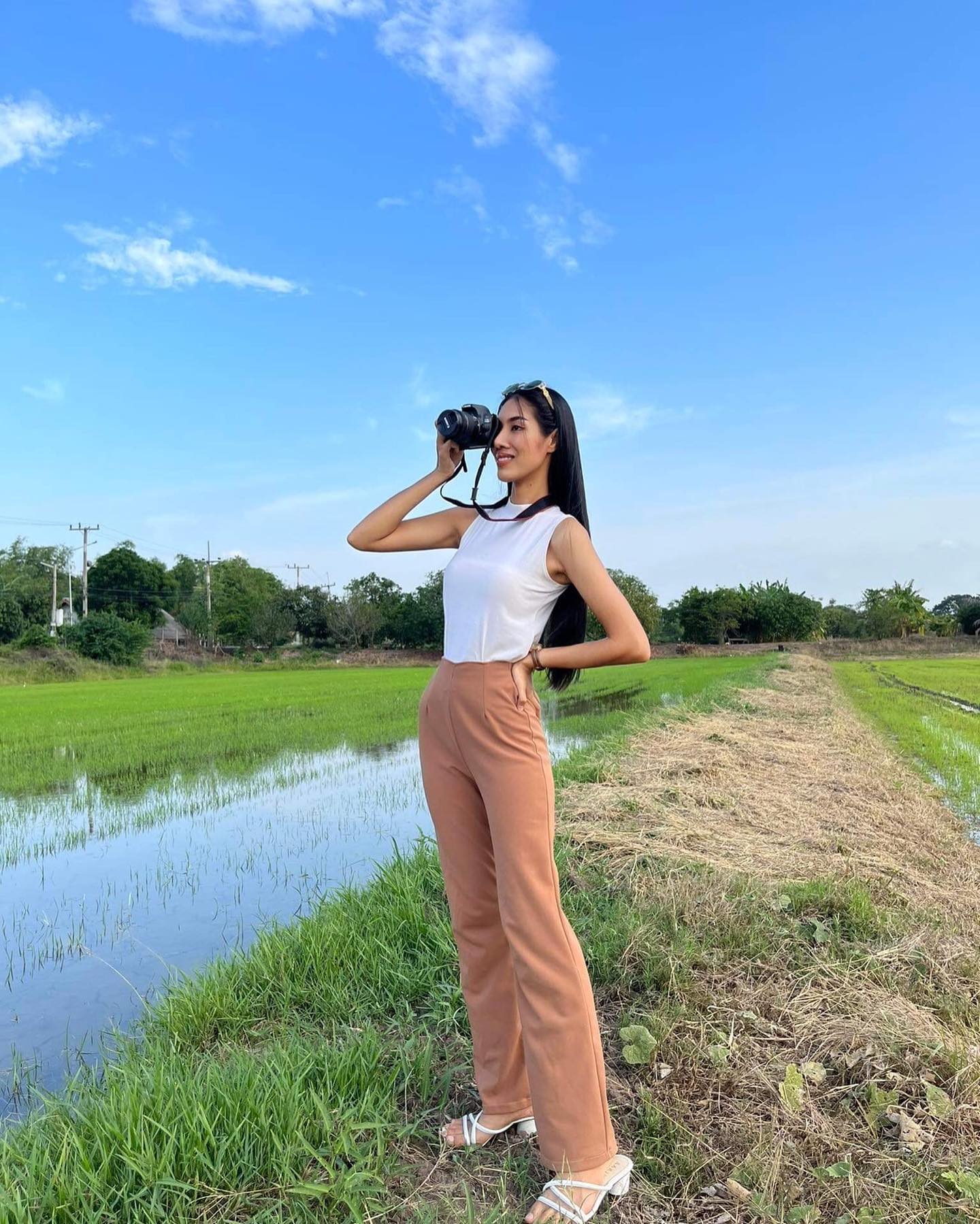 สแตมป์ ทานตะวัน